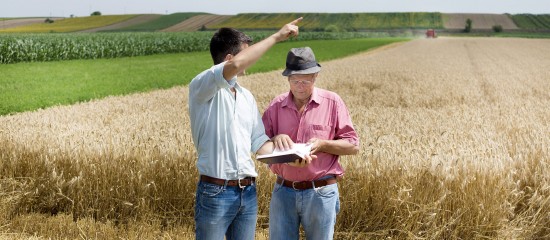Reprise de terres agricoles pour les exploiter dans le cadre d&rsquo;une soci&eacute;t&eacute;