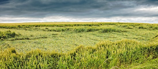 Assurance r&eacute;colte des agriculteurs&nbsp;: pas de baisse du seuil de d&eacute;clenchement&nbsp;!