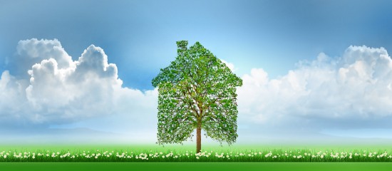 La pierre papier se met au vert&nbsp;!