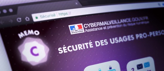 Usages pro-perso&nbsp;: les conseils de Cybermalvaillance.gouv.fr