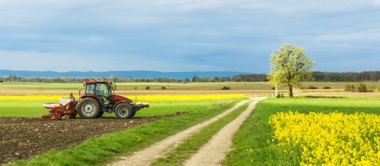 Baux ruraux&nbsp;: l&rsquo;indice national des fermages encore en baisse