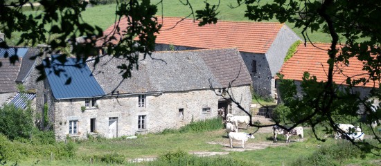Reprise par le bailleur de terres agricoles lou&eacute;es&nbsp;: gare au contenu du cong&eacute;&nbsp;!