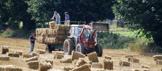 Entreprises agricoles : une réduction des cotisations patronales plus généreuse