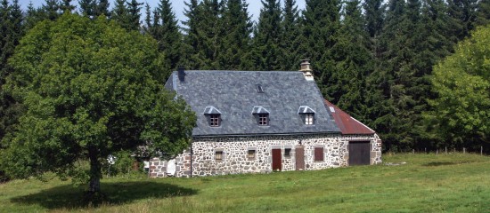 Bail portant sur un fonds rural dont la propriété est démembrée