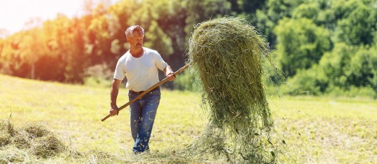 Exploitants agricoles&nbsp;: montant des indemnit&eacute;s journali&egrave;res