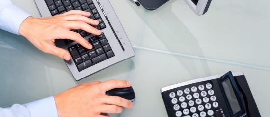 Contr&ocirc;le fiscal d&rsquo;une comptabilit&eacute; informatis&eacute;e&nbsp;: quelle information pour l&rsquo;entreprise&nbsp;?