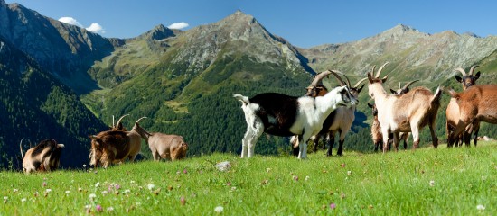 Nouvelle d&eacute;limitation des zones agricoles d&eacute;favoris&eacute;es