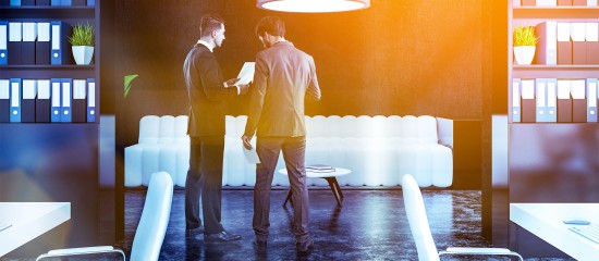 Bient&ocirc;t la d&eacute;claration des loyers professionnels