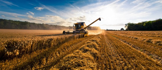 Bail rural&nbsp;: quand les usages agricoles s&rsquo;appliquent