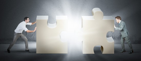 All&egrave;gement de la proc&eacute;dure des fusions de soci&eacute;t&eacute;s