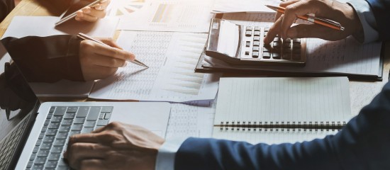 De nouvelles obligations d&eacute;claratives pour les grandes entreprises