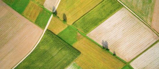 Le march&eacute; des terres agricoles en 2018