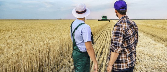 L&rsquo;obligation de cotiser au r&eacute;gime des non-salari&eacute;s agricoles
