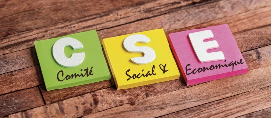 Ne tardez pas &agrave; mettre en place votre comit&eacute; social et &eacute;conomique&nbsp;!