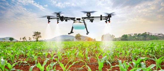 L&rsquo;&eacute;pandage de pesticides par drone&nbsp;: &agrave; quelles conditions&nbsp;?