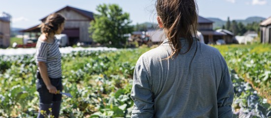 L&rsquo;agriculture a besoin de bras