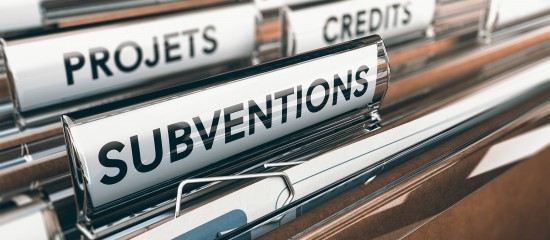 Associations&nbsp;: qu&rsquo;advient-il des subventions et des appels &agrave; projets&nbsp;?