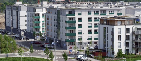 Les employeurs en&nbsp;ZFU doivent d&eacute;clarer les mouvements de main-d&rsquo;&oelig;uvre de&nbsp;2019