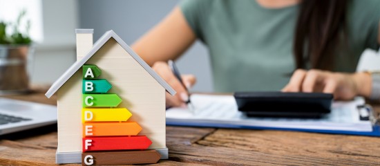 Am&eacute;liorer le bilan &eacute;nerg&eacute;tique des logements lou&eacute;s