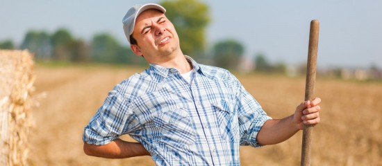 Agriculteurs&nbsp;: dans quel d&eacute;lai d&eacute;clarer un accident du travail&nbsp;?