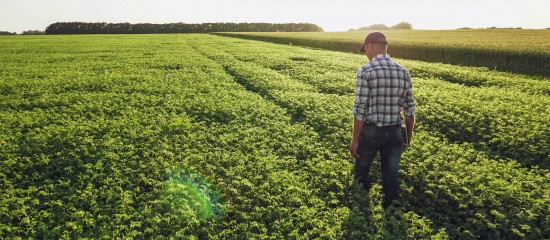 Les d&eacute;cisions de r&eacute;trocession des Safer doivent &ecirc;tre correctement motiv&eacute;es&nbsp;!