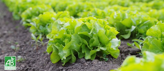 Quand un bail rural pr&eacute;voit que les terres seront cultiv&eacute;es selon des m&eacute;thodes agrobiologiques