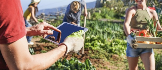 Le recensement agricole 2020 est lanc&eacute;&nbsp;!