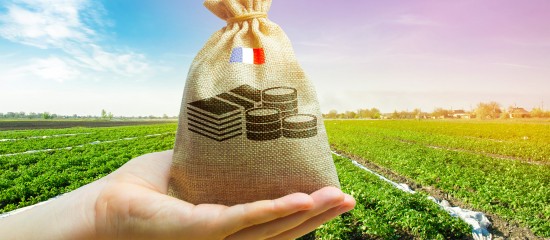 Exploitants agricoles en difficult&eacute;&nbsp;: un pr&ecirc;t participatif jusqu&rsquo;&agrave; 20&nbsp;000&nbsp;&euro; est possible
