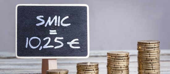 Le Smic fix&eacute; &agrave;&nbsp;10,25&nbsp;&euro; en&nbsp;2021