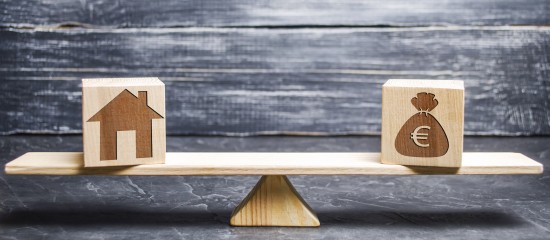 Portrait-robot des redevables de l&rsquo;imp&ocirc;t sur la fortune immobili&egrave;re