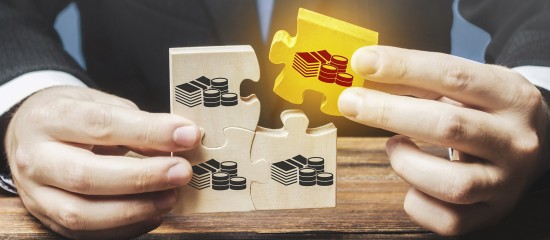 Quand l&rsquo;abandon d&rsquo;une r&eacute;partition &eacute;galitaire des b&eacute;n&eacute;fices constitue un abus de majorit&eacute;