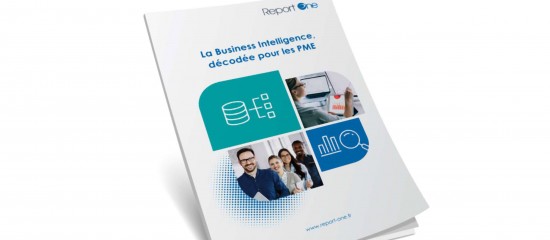 La Business Intelligence d&eacute;cod&eacute;e pour les petites entreprises