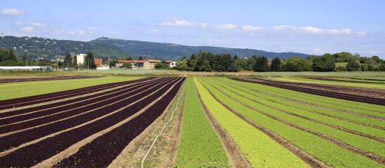 Bail rural&nbsp;: gare au d&eacute;part de l&rsquo;un des colocataires&nbsp;!