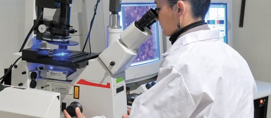 Remboursement tardif du cr&eacute;dit d&rsquo;imp&ocirc;t recherche et versement d&rsquo;int&eacute;r&ecirc;ts moratoires