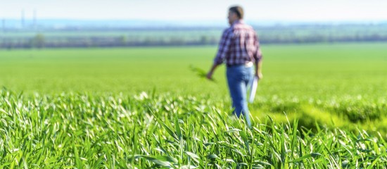Bail rural&nbsp;: le bailleur doit &ecirc;tre inform&eacute; du d&eacute;part de l&rsquo;un des colocataires&nbsp;!