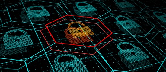 &Eacute;valuez votre niveau de cybers&eacute;curit&eacute;