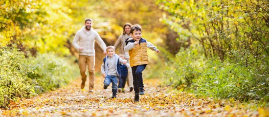 Quant aux jours f&eacute;ri&eacute;s du mois de novembre&hellip;