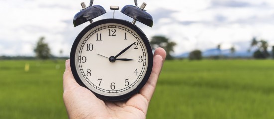 Pas de clause de long pr&eacute;avis dans un bail rural de 24&nbsp;ans&nbsp;!