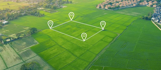 Mise &agrave; disposition de terres agricoles &agrave; la Safer&nbsp;: avec l&rsquo;accord du nu-propri&eacute;taire&nbsp;!