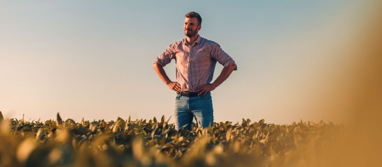 Quand une donation constitue une fraude au droit de pr&eacute;emption du fermier