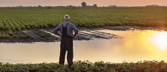 Agriculteurs victimes des inondations&nbsp;: une prise en charge de vos cotisations