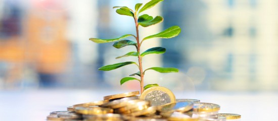 Une plate-forme pour sensibiliser &agrave; l&rsquo;investissement durable