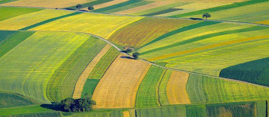 Quel prix pour les terres agricoles en 2020&nbsp;?