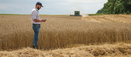 Renouvellement du bail rural : gare au respect du contr&ocirc;le des structures&nbsp;!