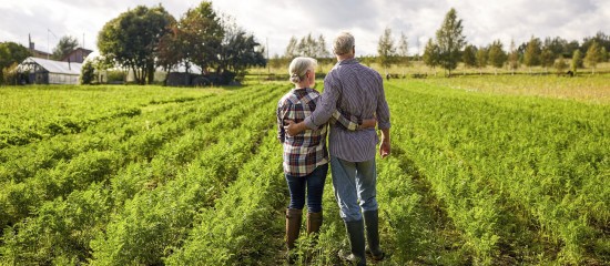 Non-salari&eacute;s agricoles&nbsp;: une pension major&eacute;e revaloris&eacute;e