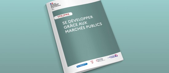 Un guide pour encourager les TPE/PME &agrave; candidater aux march&eacute;s publics