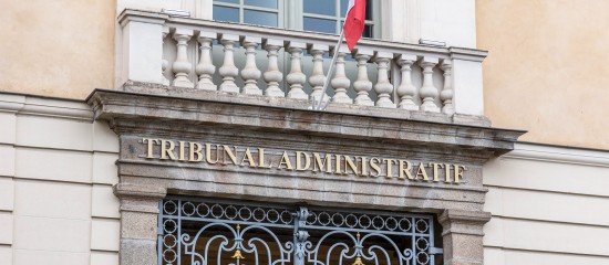Quel pouvoir de repr&eacute;sentation d&rsquo;une filiale par la directrice fiscale d&rsquo;une holding&nbsp;?