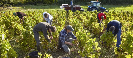 Travailleurs agricoles occasionnels&nbsp;: une option pour la r&eacute;duction Fillon d&rsquo;ici fin mars