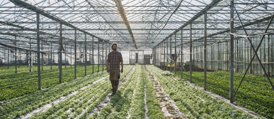 Plan de r&eacute;silience&nbsp;: des aides pour soutenir l&rsquo;agriculture