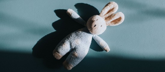 Une r&eacute;forme pour le r&eacute;gime de l&rsquo;adoption